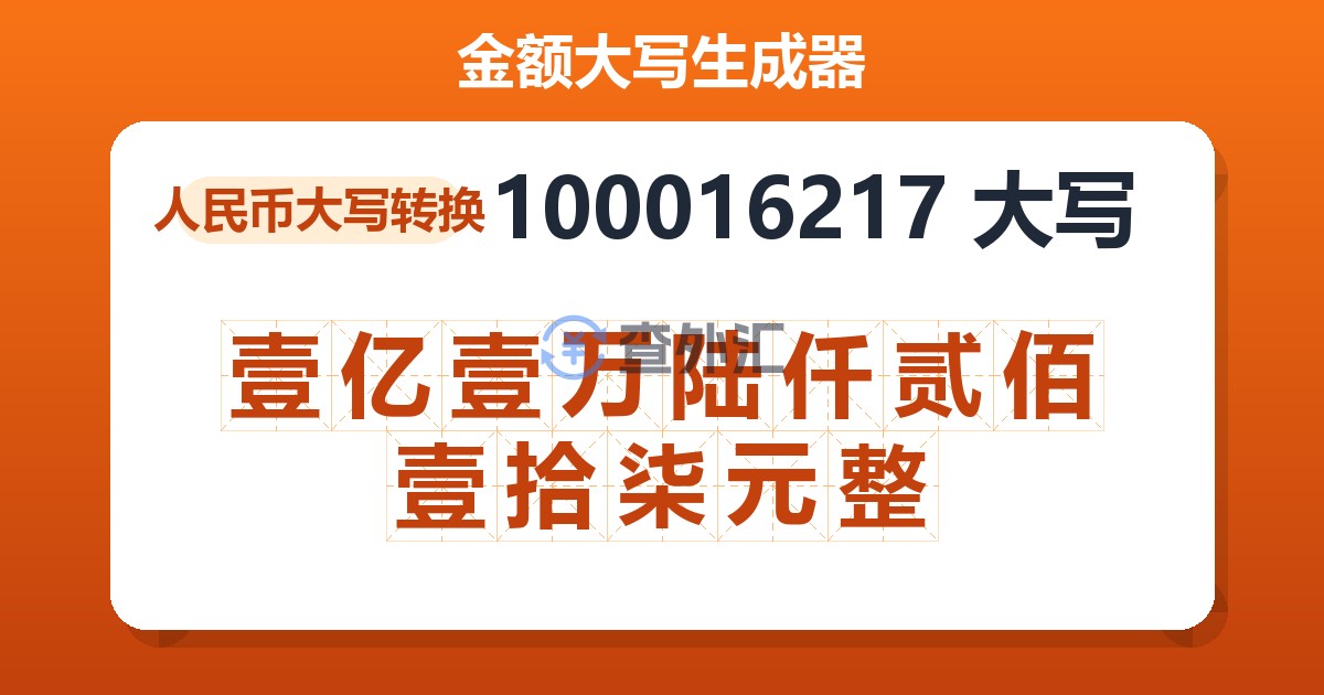 100016217大写 壹亿壹万陆仟贰佰壹拾柒元整