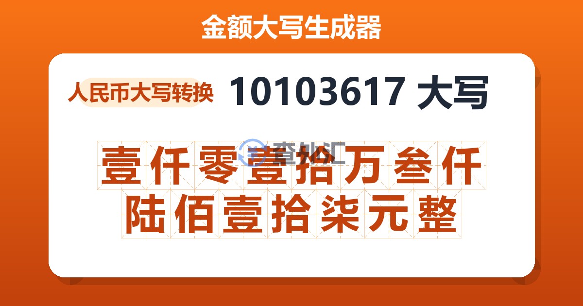 10103617大写 壹仟零壹拾万叁仟陆佰壹拾柒元整