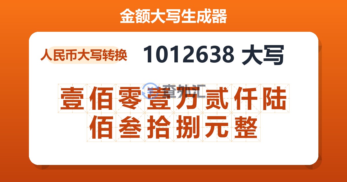 1012638大写 壹佰零壹万贰仟陆佰叁拾捌元整