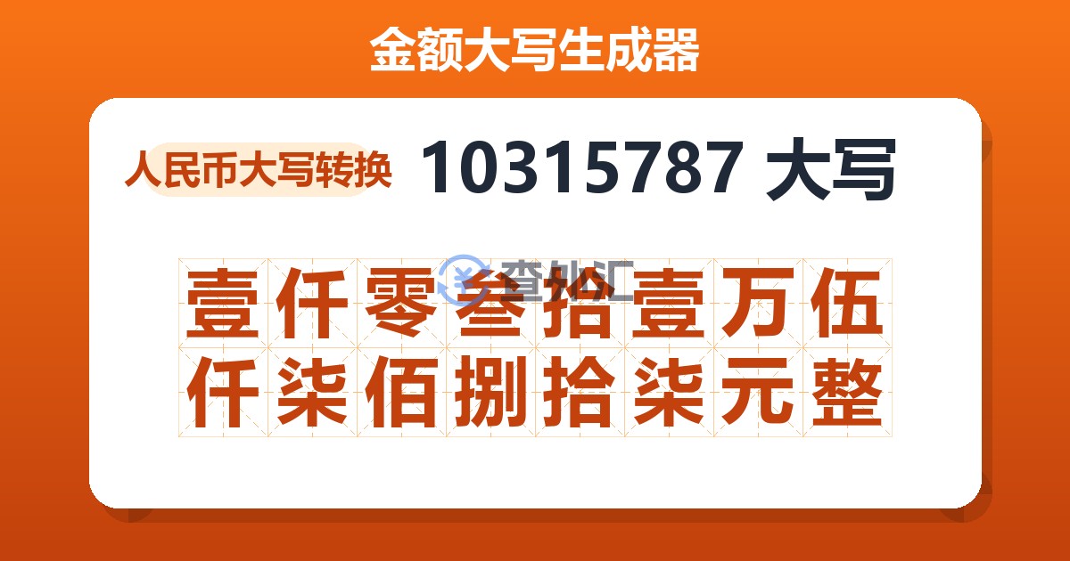 10315787大写 壹仟零叁拾壹万伍仟柒佰捌拾柒元整