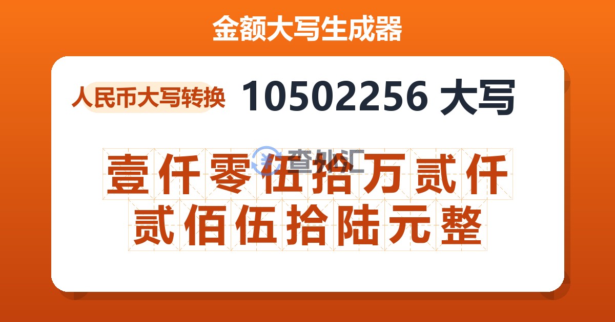 10502256大写 壹仟零伍拾万贰仟贰佰伍拾陆元整