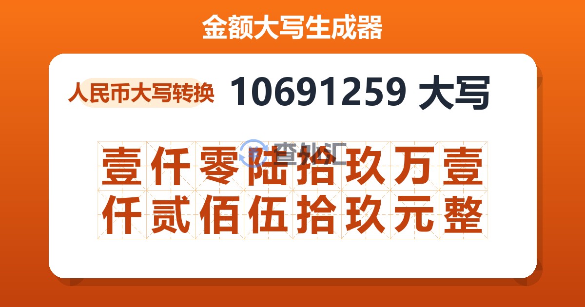 10691259大写 壹仟零陆拾玖万壹仟贰佰伍拾玖元整