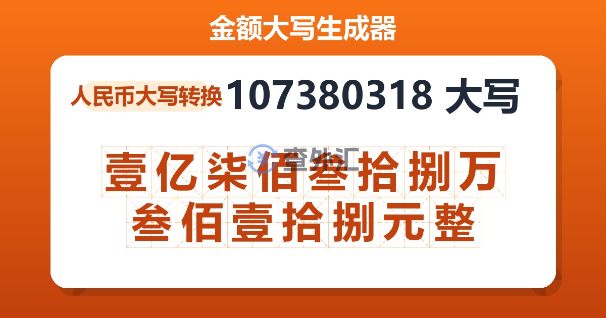 107380318大写 壹亿柒佰叁拾捌万叁佰壹拾捌元整