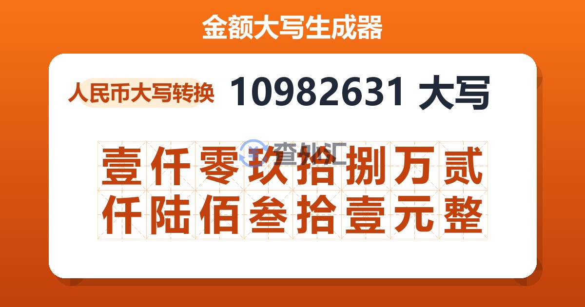 10982631大写 壹仟零玖拾捌万贰仟陆佰叁拾壹元整