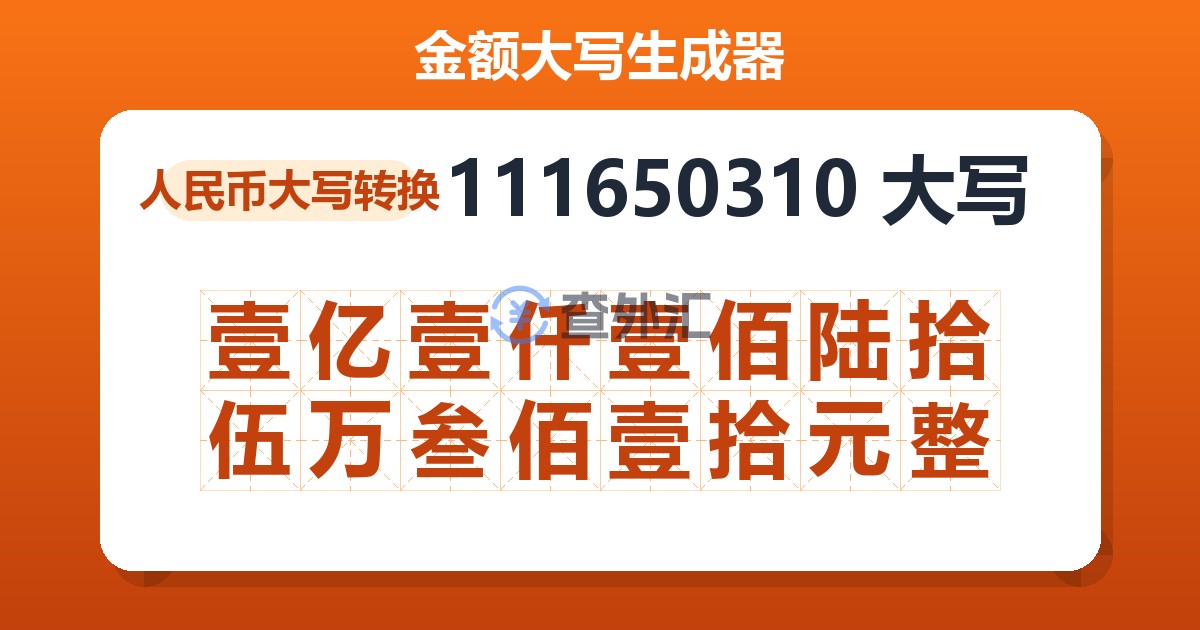 111650310大写 壹亿壹仟壹佰陆拾伍万叁佰壹拾元整