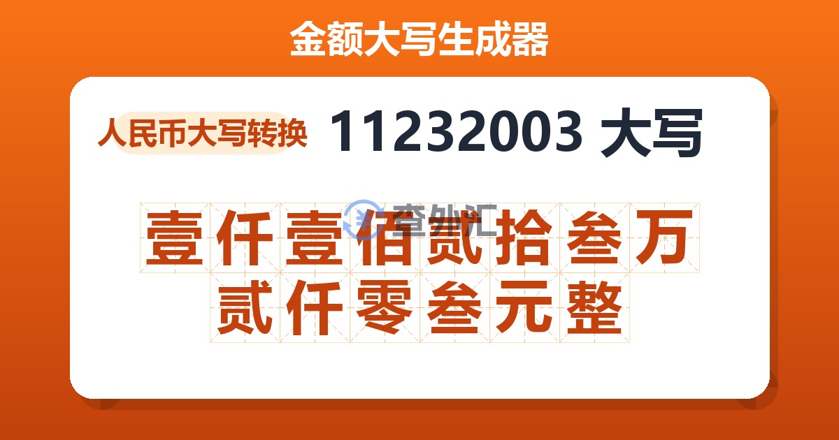 11232003大写 壹仟壹佰贰拾叁万贰仟零叁元整