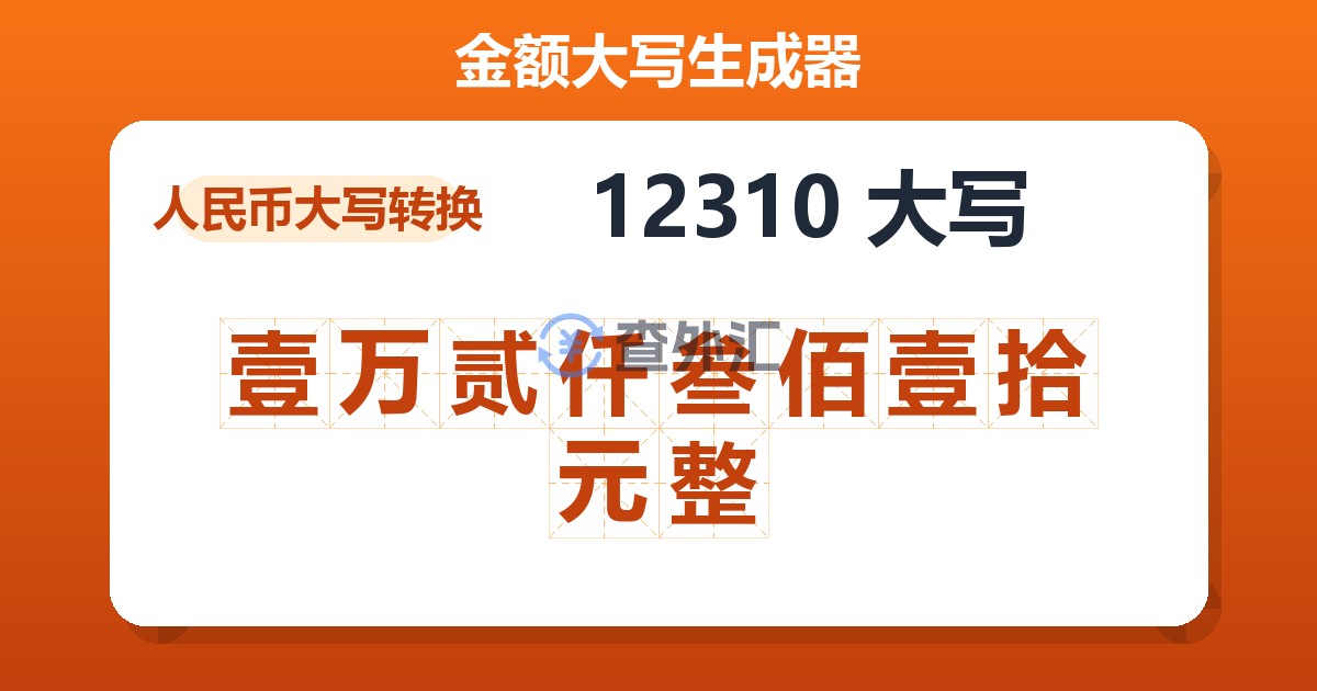 12310大写 壹万贰仟叁佰壹拾元整