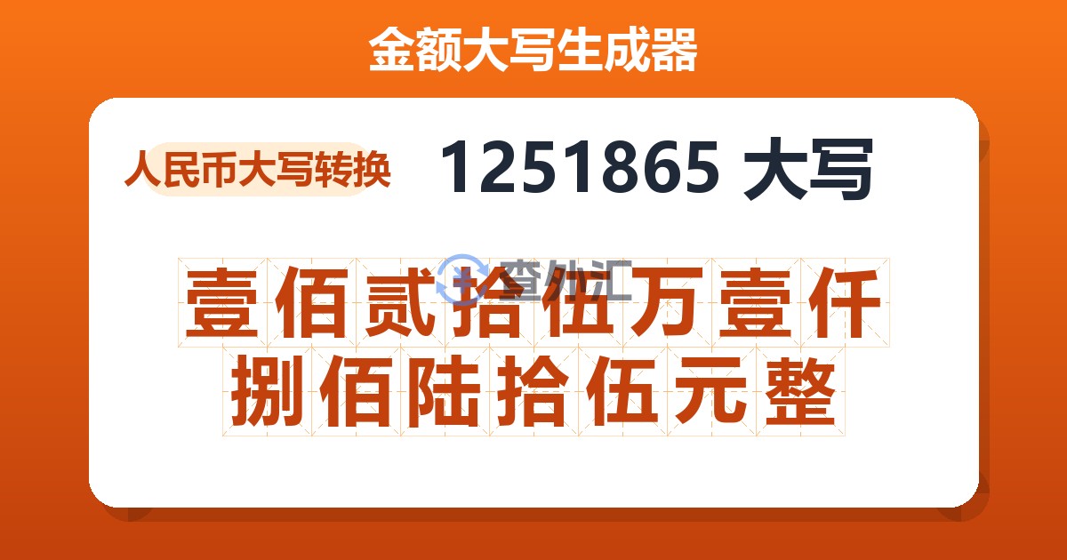 1251865大写 壹佰贰拾伍万壹仟捌佰陆拾伍元整