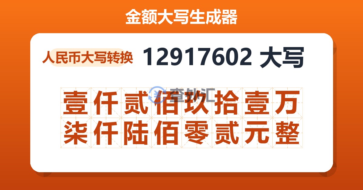12917602大写 壹仟贰佰玖拾壹万柒仟陆佰零贰元整