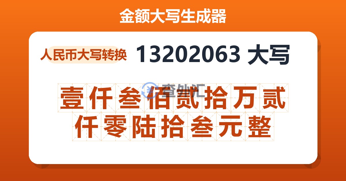 13202063大写 壹仟叁佰贰拾万贰仟零陆拾叁元整