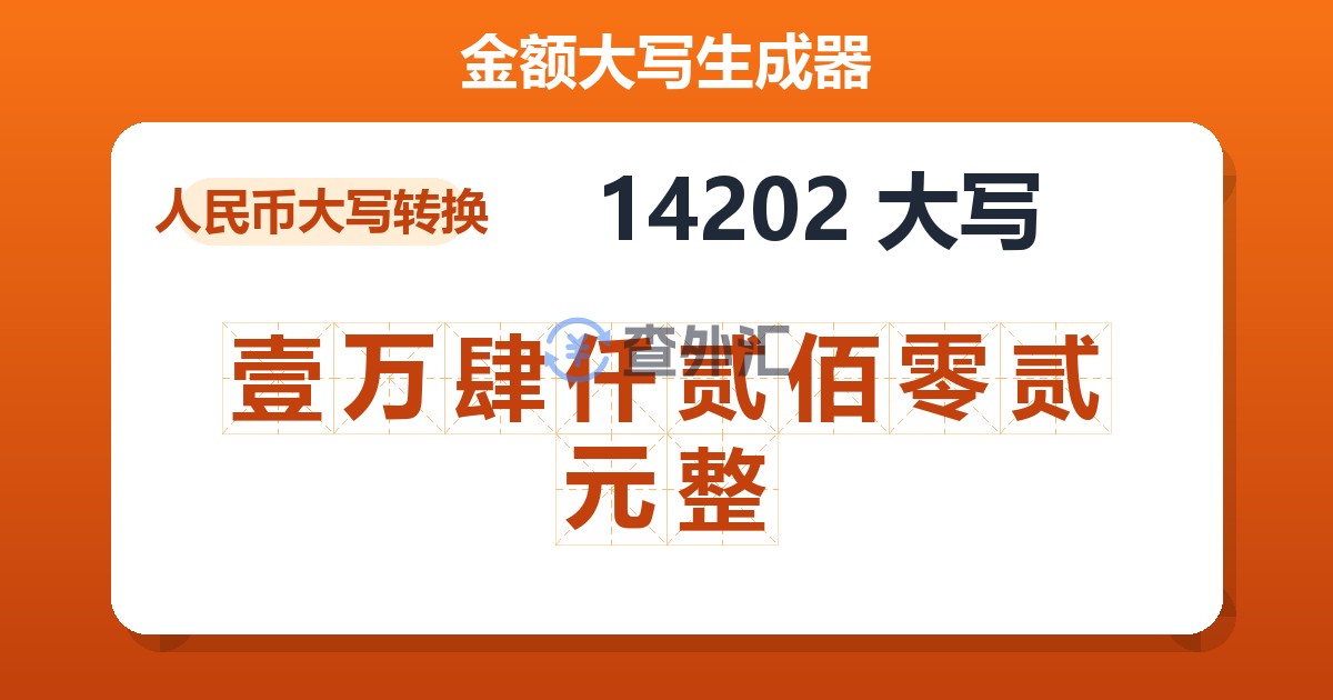 14202大写 壹万肆仟贰佰零贰元整