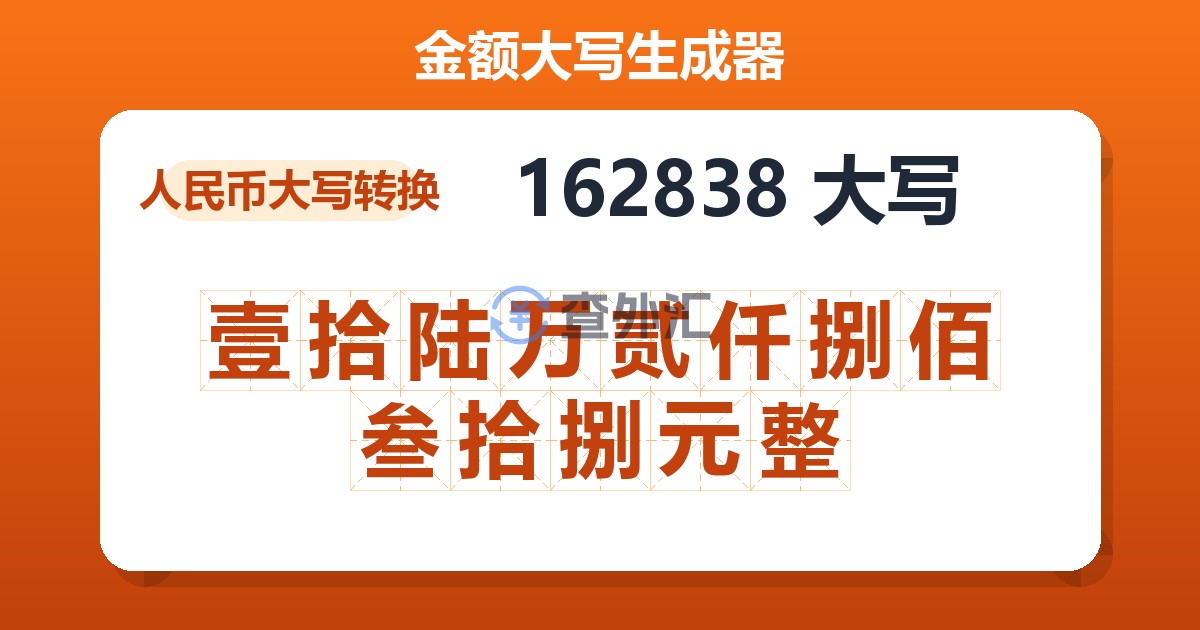 162838大写 壹拾陆万贰仟捌佰叁拾捌元整