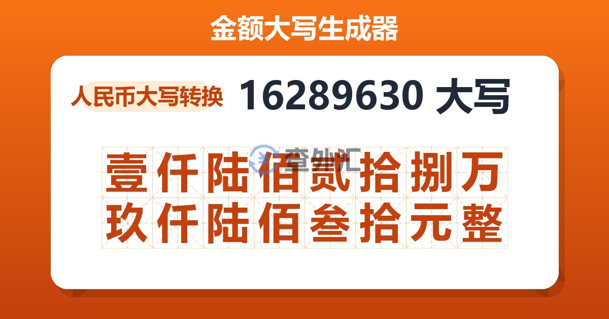 16289630大写 壹仟陆佰贰拾捌万玖仟陆佰叁拾元整
