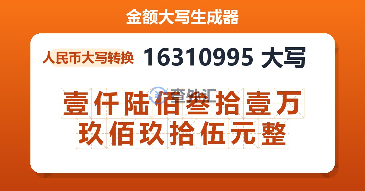 16310995大写 壹仟陆佰叁拾壹万玖佰玖拾伍元整