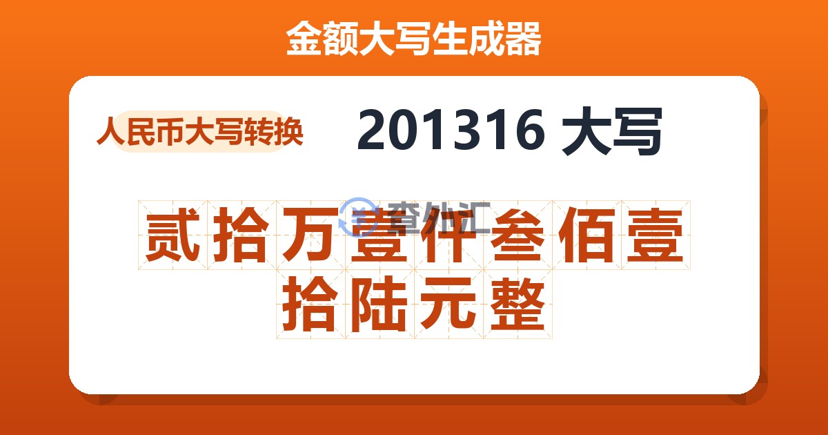 201316大写 贰拾万壹仟叁佰壹拾陆元整
