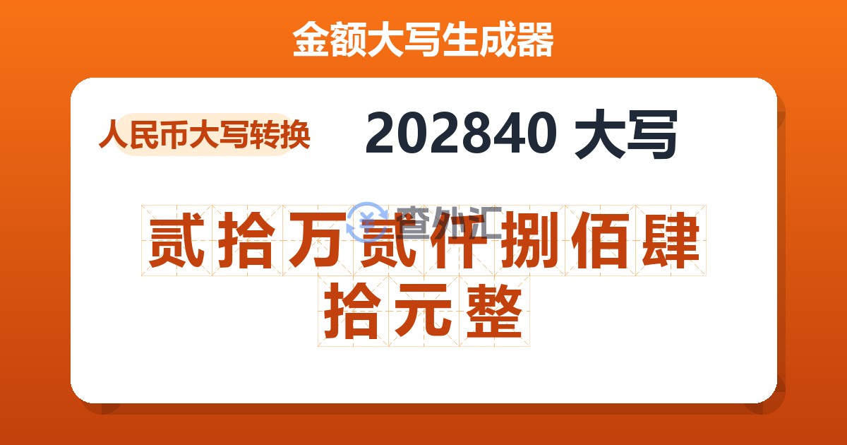 202840大写 贰拾万贰仟捌佰肆拾元整