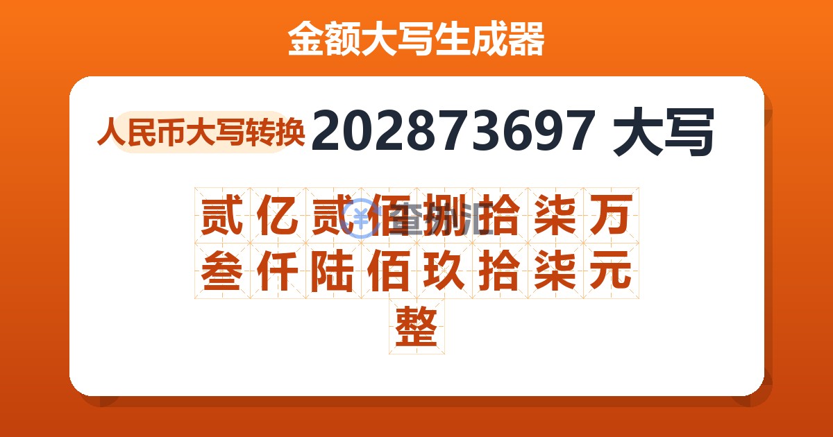 202873697大写 贰亿贰佰捌拾柒万叁仟陆佰玖拾柒元整