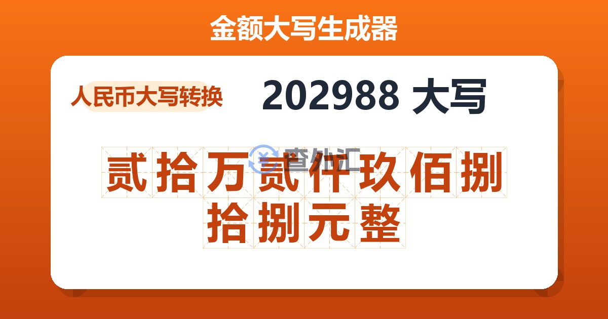 202988大写 贰拾万贰仟玖佰捌拾捌元整
