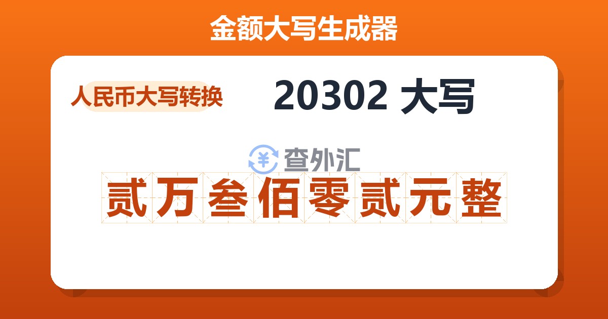 20302大写 贰万叁佰零贰元整