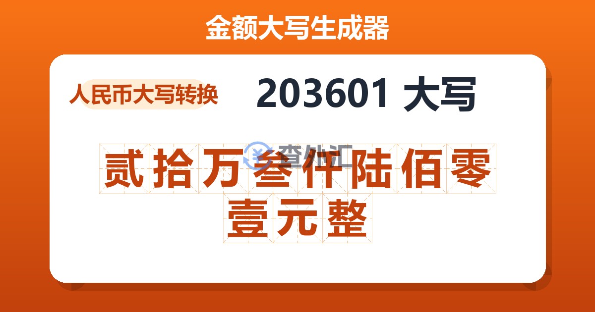 203601大写 贰拾万叁仟陆佰零壹元整