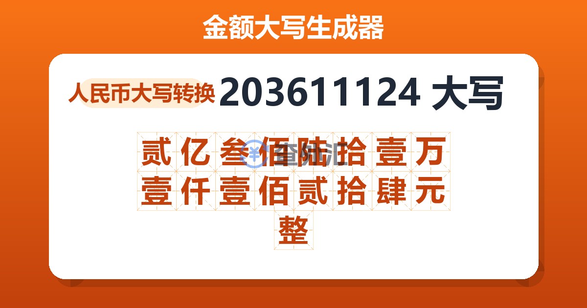 203611124大写 贰亿叁佰陆拾壹万壹仟壹佰贰拾肆元整