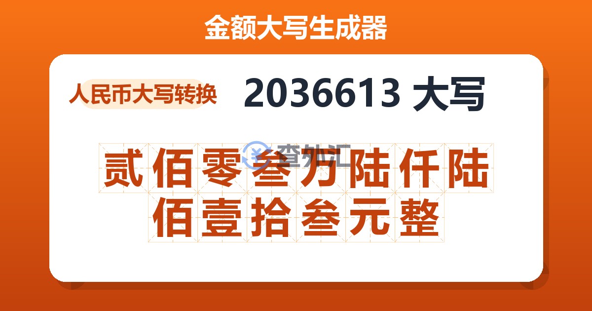 2036613大写 贰佰零叁万陆仟陆佰壹拾叁元整