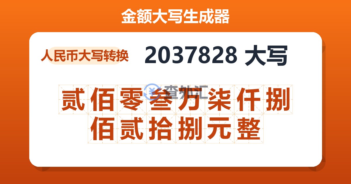 2037828大写 贰佰零叁万柒仟捌佰贰拾捌元整