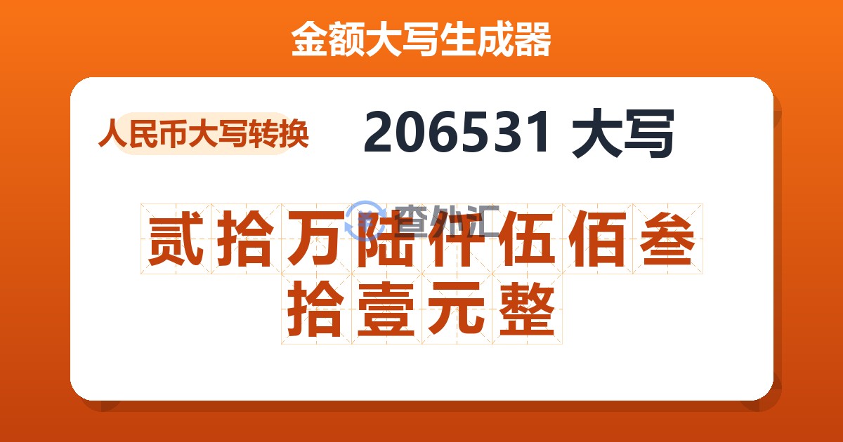 206531大写 贰拾万陆仟伍佰叁拾壹元整