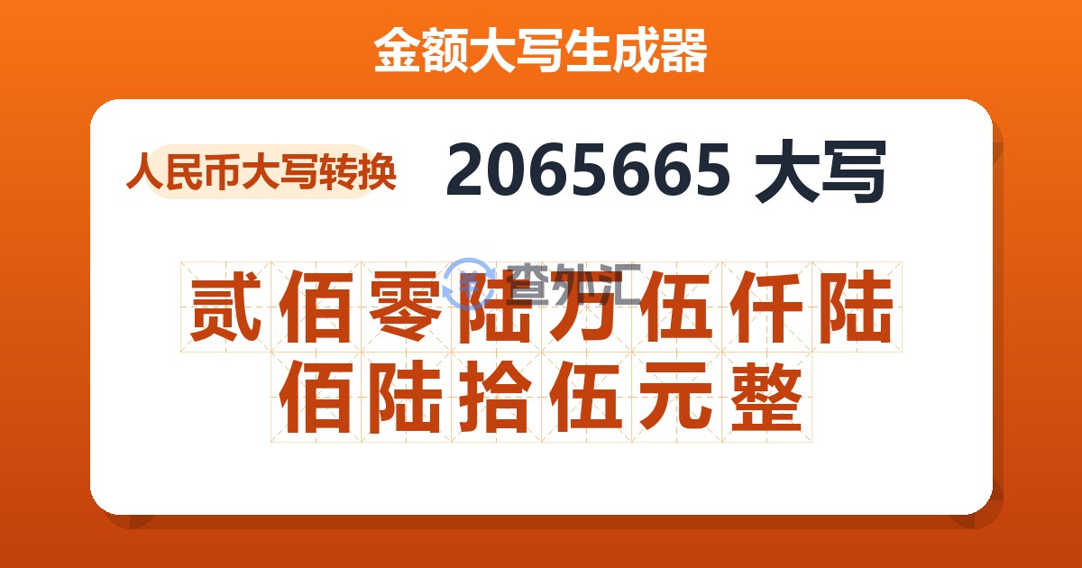 2065665大写 贰佰零陆万伍仟陆佰陆拾伍元整