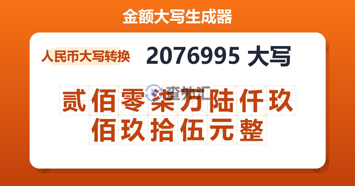 2076995大写 贰佰零柒万陆仟玖佰玖拾伍元整