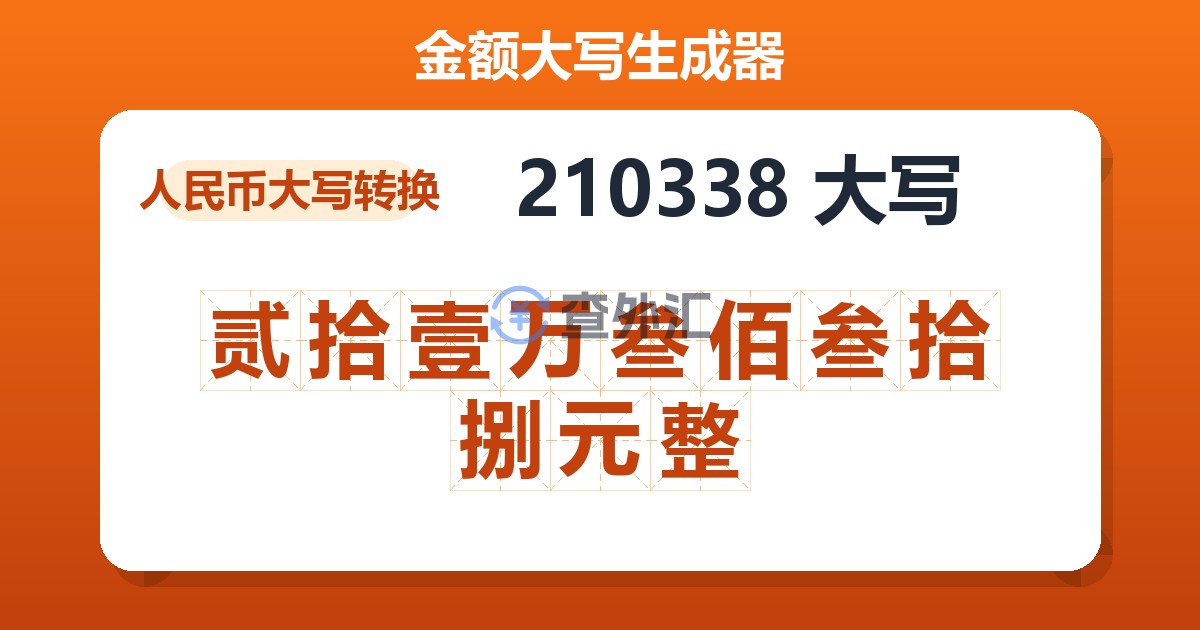 210338大写 贰拾壹万叁佰叁拾捌元整