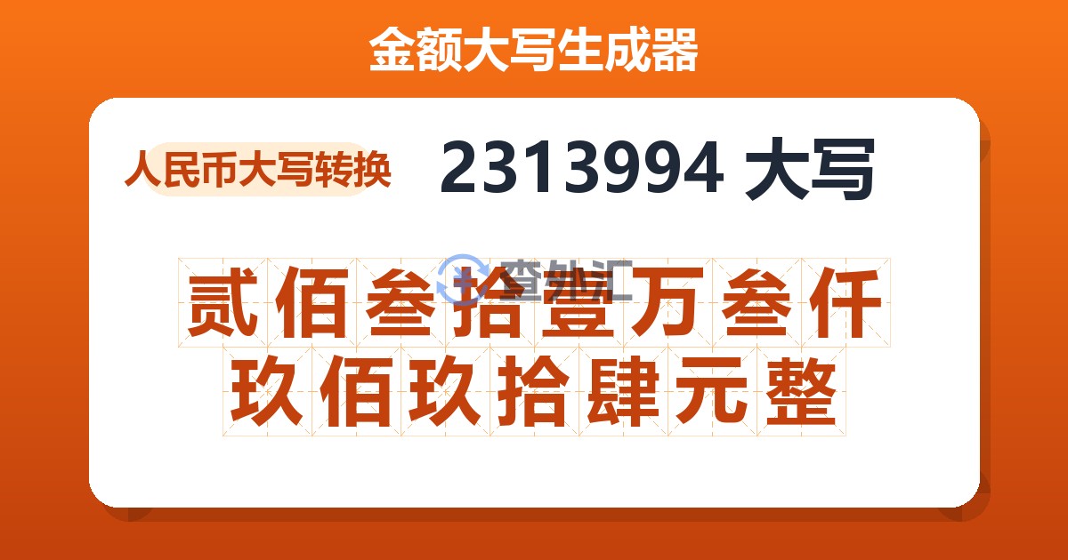 2313994大写 贰佰叁拾壹万叁仟玖佰玖拾肆元整