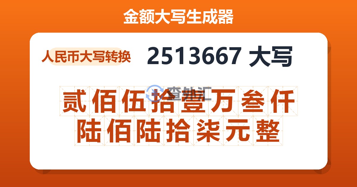2513667大写 贰佰伍拾壹万叁仟陆佰陆拾柒元整