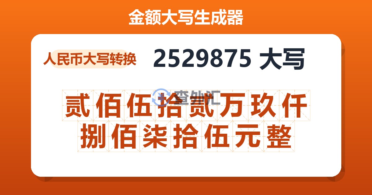 2529875大写 贰佰伍拾贰万玖仟捌佰柒拾伍元整