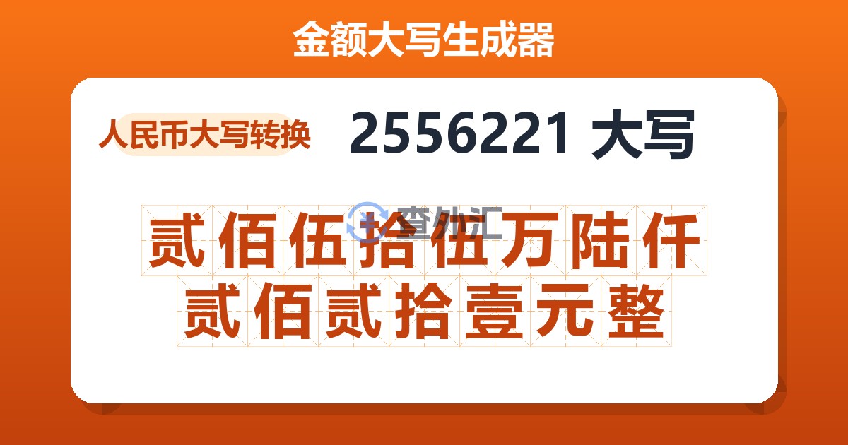 2556221大写 贰佰伍拾伍万陆仟贰佰贰拾壹元整