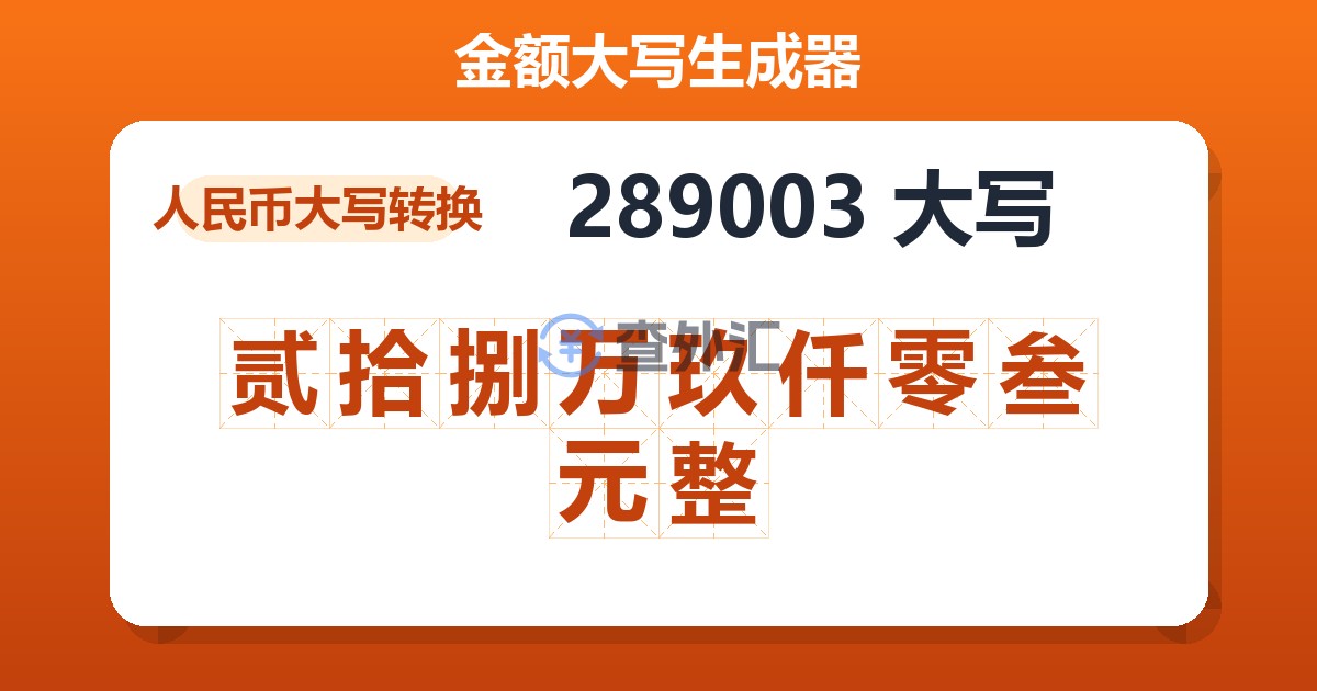 289003大写 贰拾捌万玖仟零叁元整