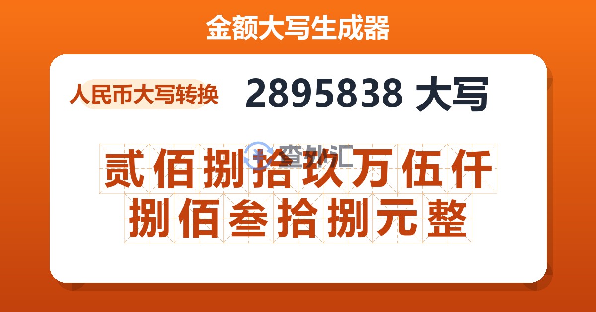 2895838大写 贰佰捌拾玖万伍仟捌佰叁拾捌元整