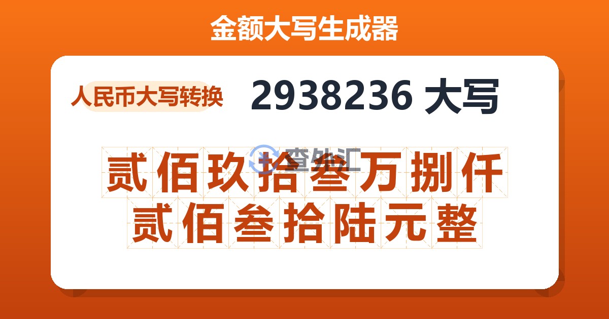 2938236大写 贰佰玖拾叁万捌仟贰佰叁拾陆元整