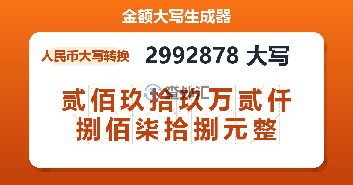 2992878大写 贰佰玖拾玖万贰仟捌佰柒拾捌元整