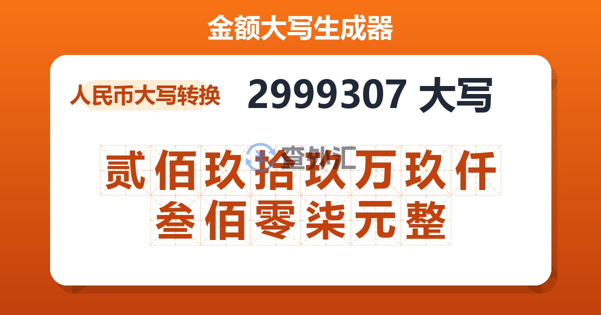 2999307大写 贰佰玖拾玖万玖仟叁佰零柒元整