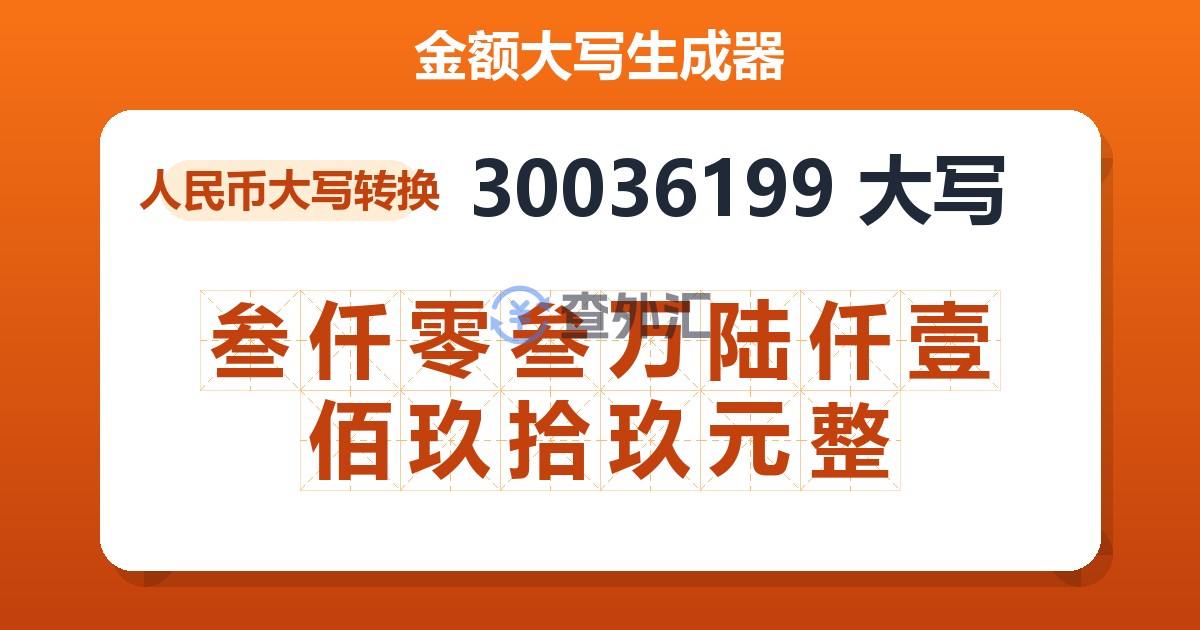 30036199大写 叁仟零叁万陆仟壹佰玖拾玖元整