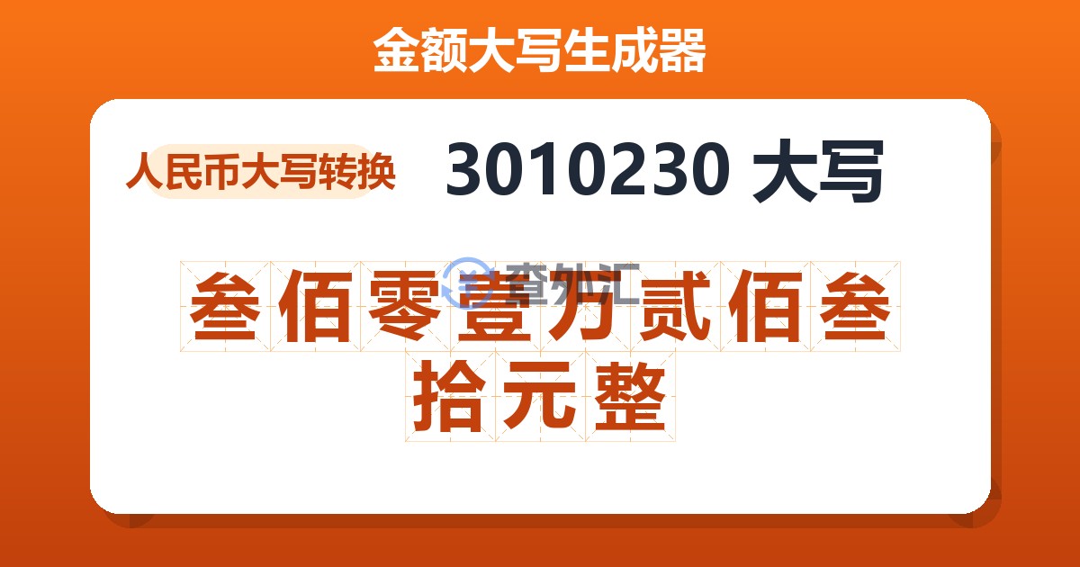 3010230大写 叁佰零壹万贰佰叁拾元整