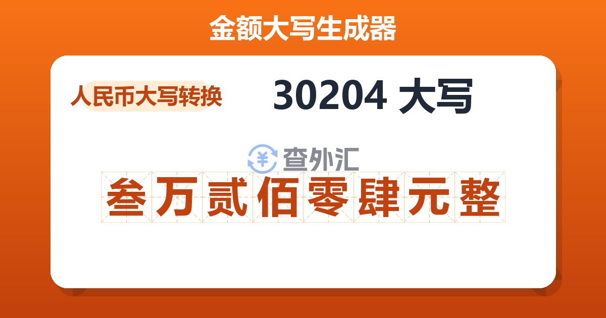 30204大写 叁万贰佰零肆元整