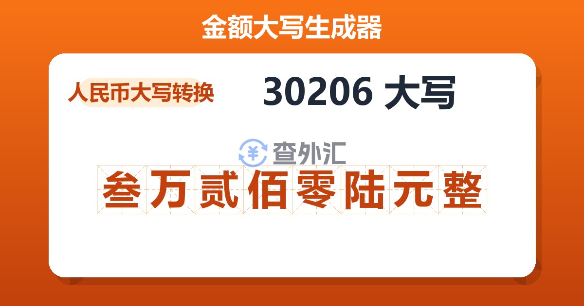 30206大写 叁万贰佰零陆元整