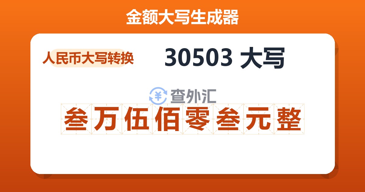 30503大写 叁万伍佰零叁元整