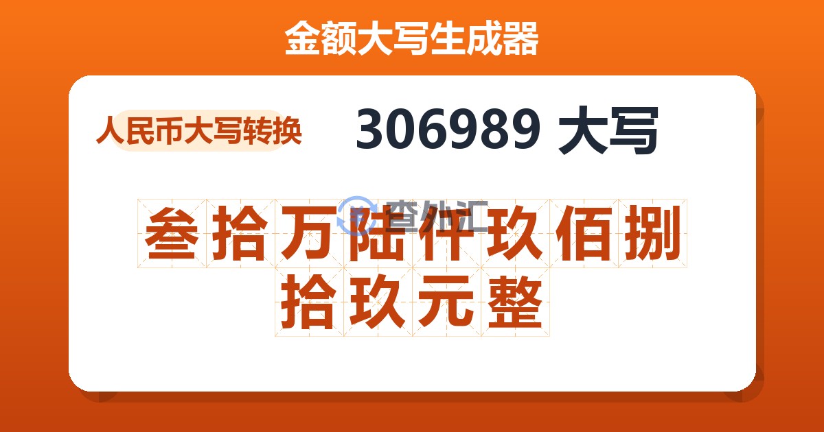306989大写 叁拾万陆仟玖佰捌拾玖元整