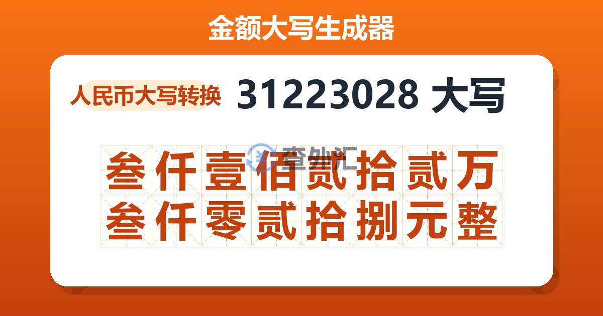 31223028大写 叁仟壹佰贰拾贰万叁仟零贰拾捌元整