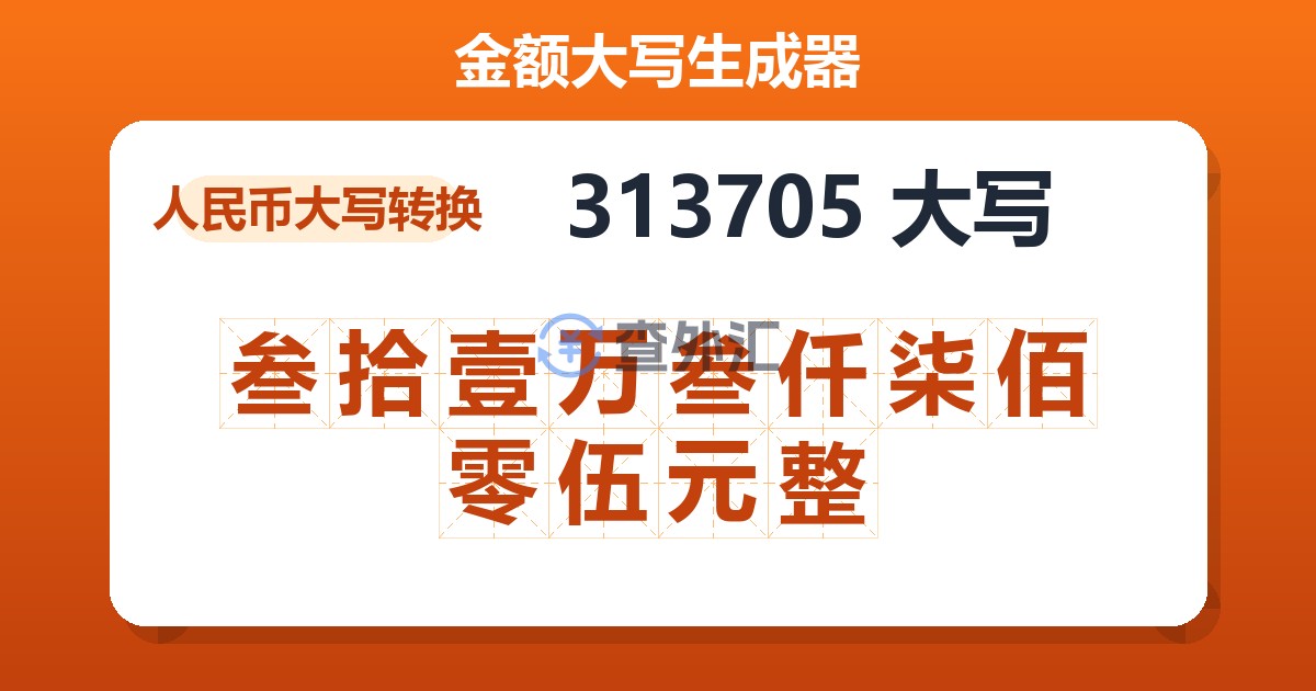 313705大写 叁拾壹万叁仟柒佰零伍元整