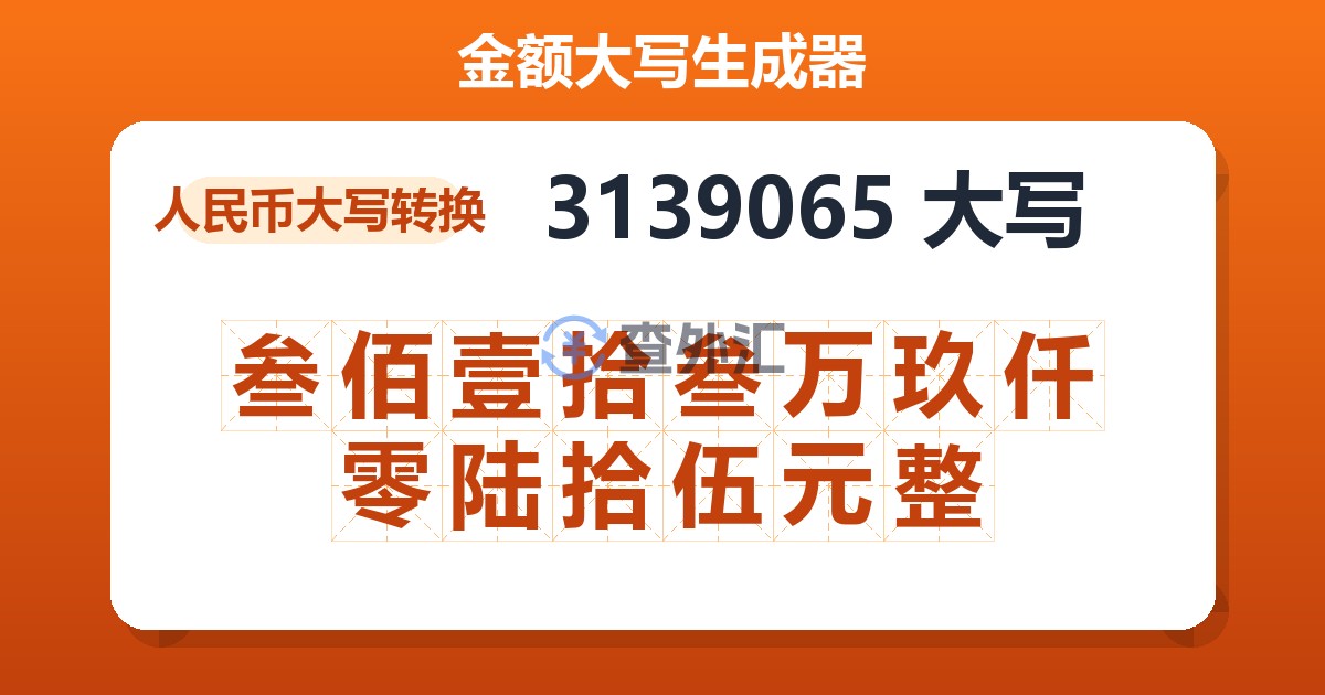 3139065大写 叁佰壹拾叁万玖仟零陆拾伍元整