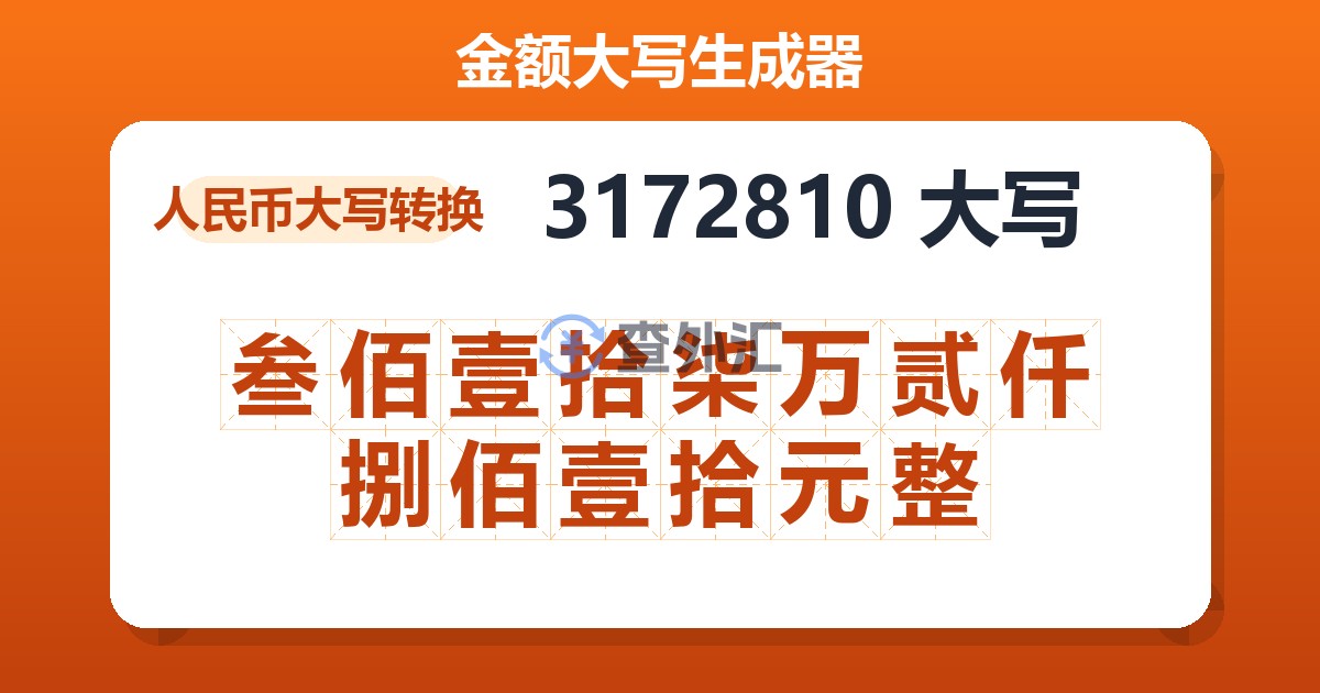 3172810大写 叁佰壹拾柒万贰仟捌佰壹拾元整